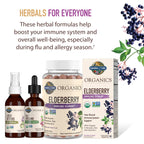 Full commercial packaging display of Garden of Life 6.59 fluid ounce elderberry immune syrup.