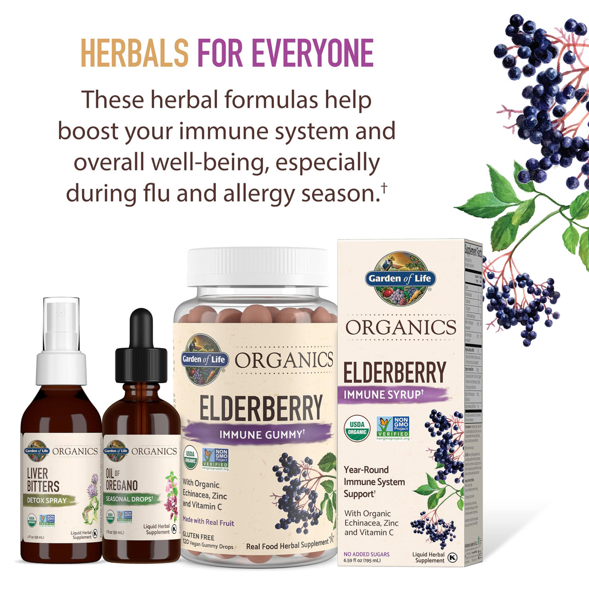 Full commercial packaging display of Garden of Life 6.59 fluid ounce elderberry immune syrup.