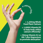 Garden of Life AlgaeCal raw marine algae calcium pills with magnesium and vitamin D3 K2