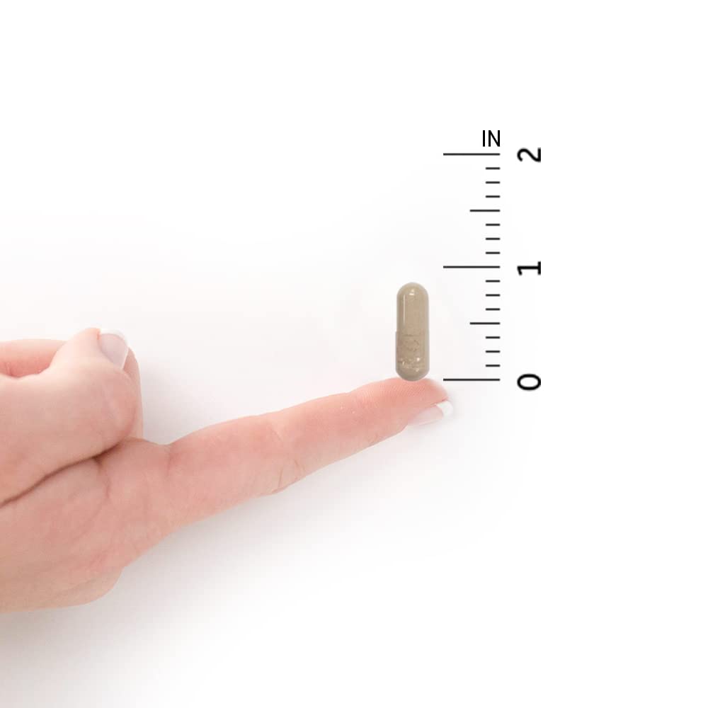 Top angle view of the non-GMO certified vegan daily iron supplement bottle
