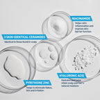 CeraVe anti-dandruff formulation showing the large 19 ounce value size packaging