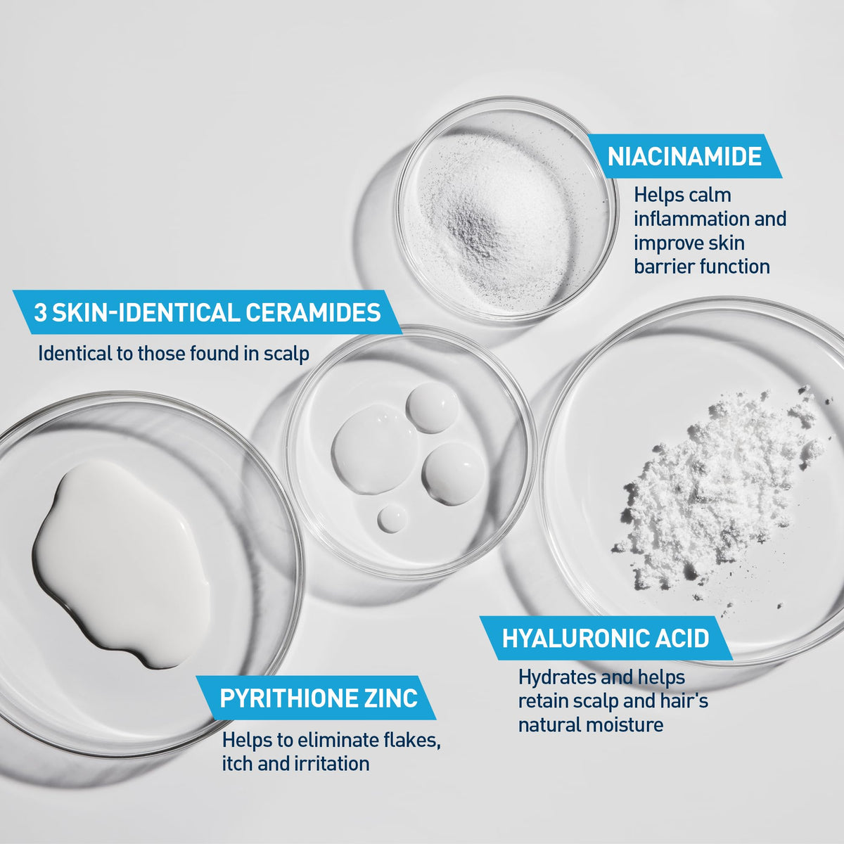 CeraVe anti-dandruff formulation showing the large 19 ounce value size packaging
