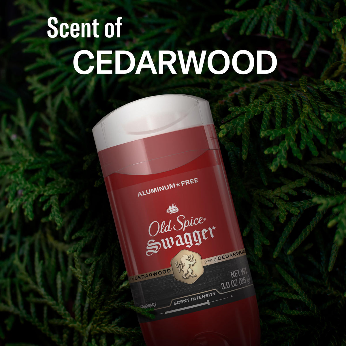 High quality imported male toiletry offering twenty four hour dependable freshness.