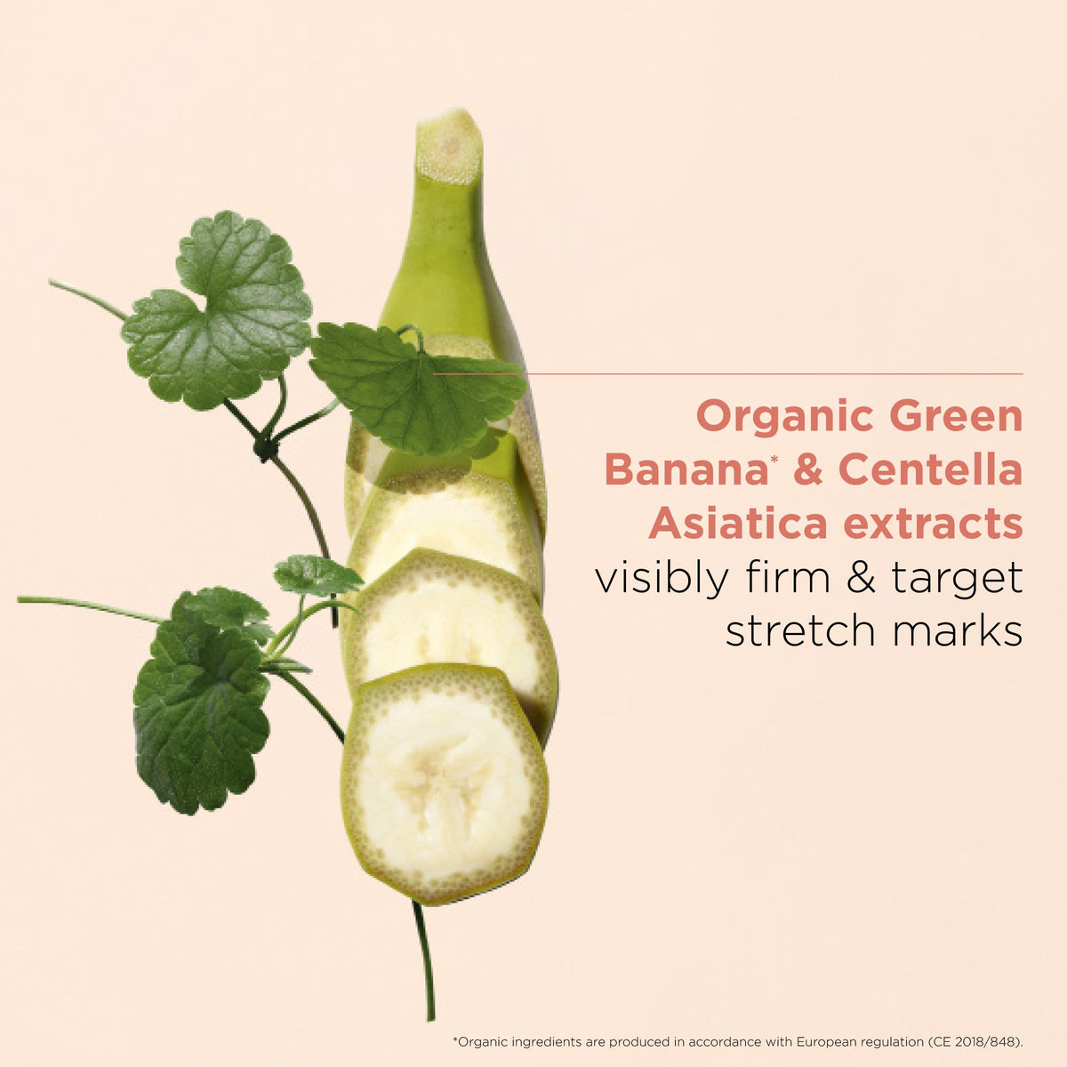 Clarins PhytoStretchComplex cream bottle display showcasing premium maternity skincare line