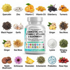 Clean Nutraceuticals Q Defend daily dosage details showcasing the unflavored immune support capsules