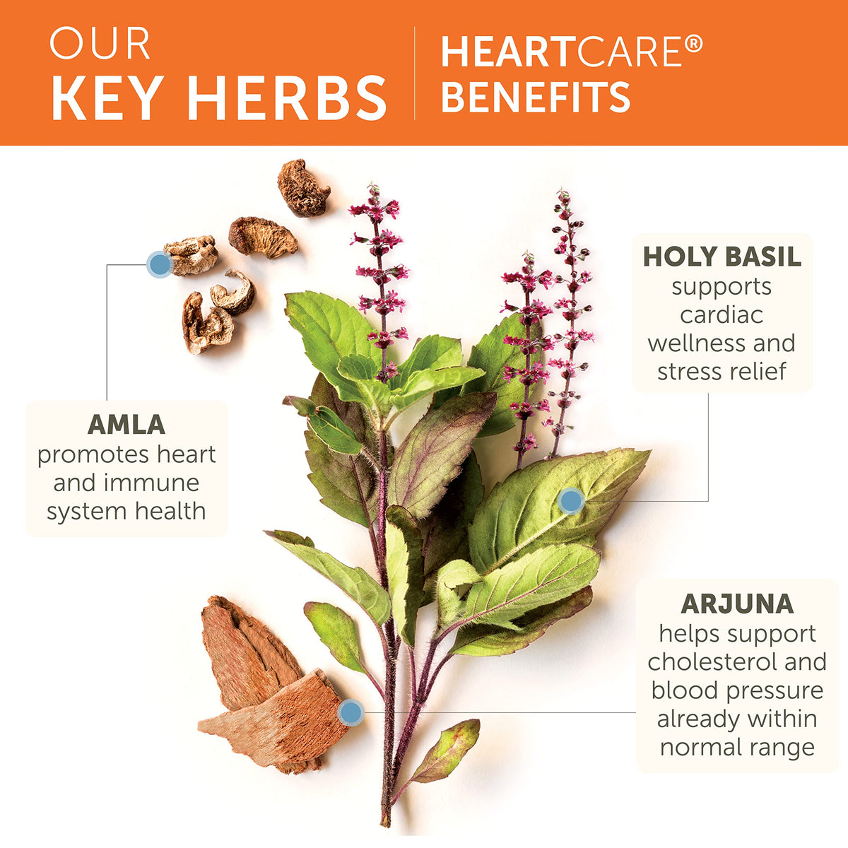Close-up of the USA imported Himalaya HeartCare packaging highlights for heart health.