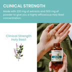 Himalaya Holy Basil capsules packaging close up