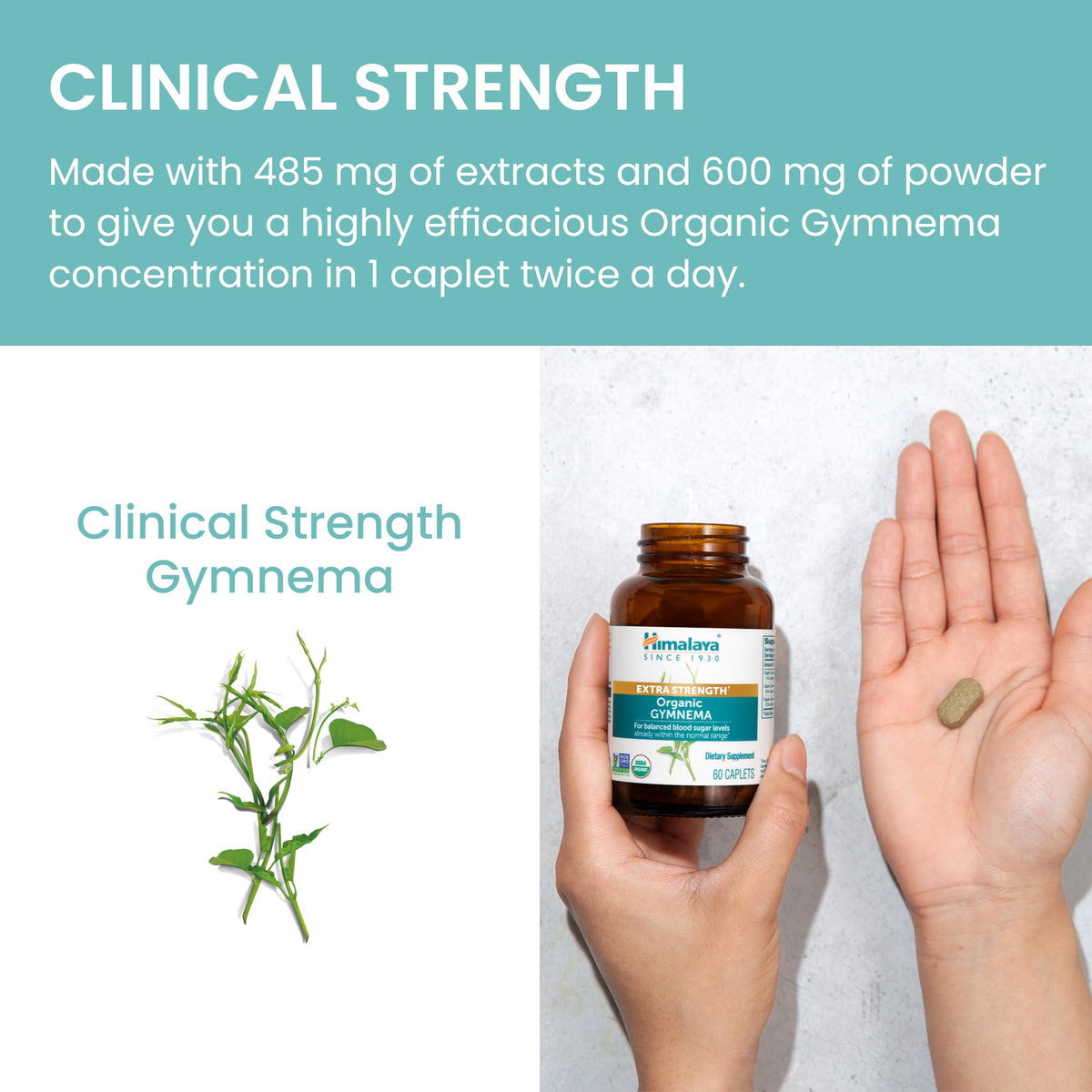 Himalaya Extra Strength Gymnema caplets bottle unboxed showing authentic imported packaging seal