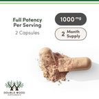 Premium USA imported Turkey Tail capsule ingredients rich in antioxidants and natural prebiotics for gut wellness
