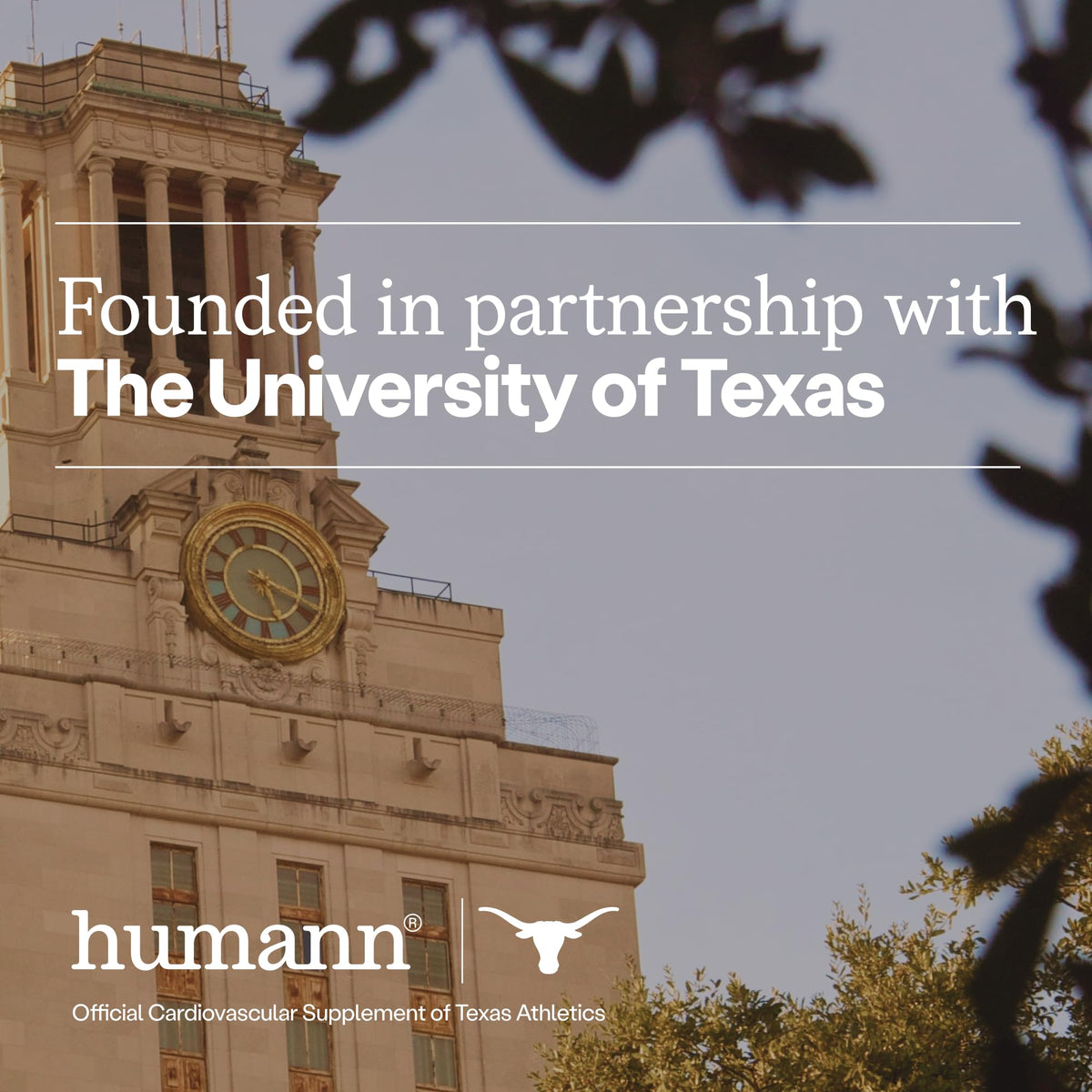 Humann SuperBeets bottle with supplement facts panel visible