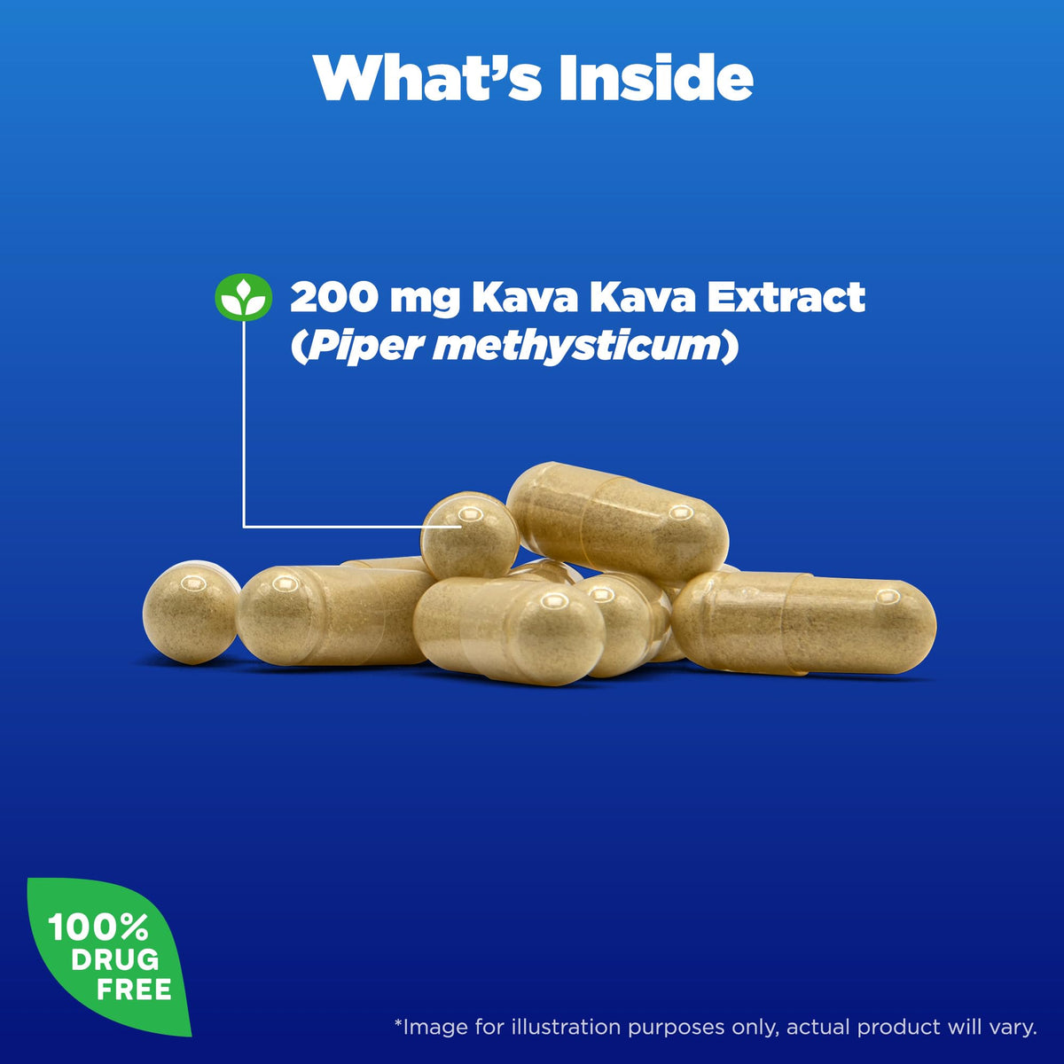Authentic imported Natrol Kava Kava 30 count bottle showing non GMO and drug free certifications