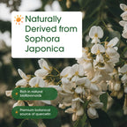 Sophora japonica sourced high potency quercetin immune vitamins