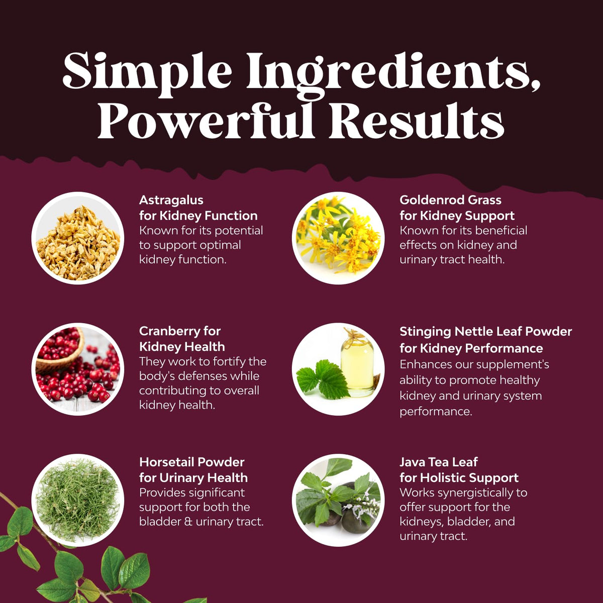 High strength cranberry extract pills for men and women urinary wellness