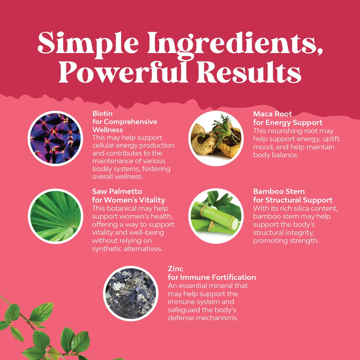 Side view of Nature's Craft 90 capsules bottle explaining the recommended daily intake directions.