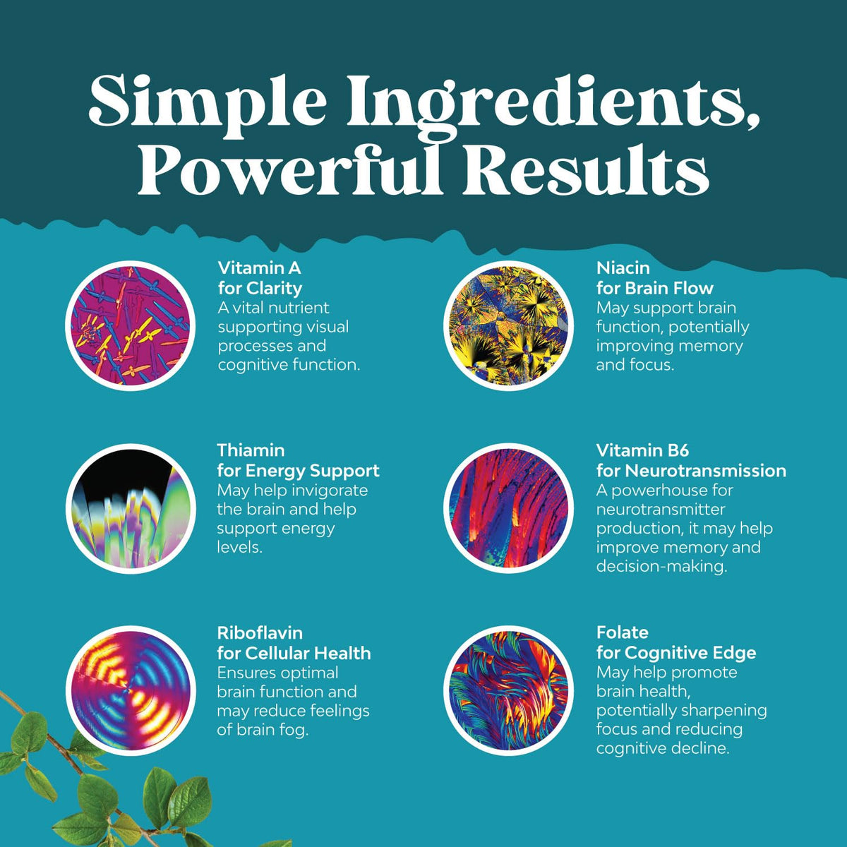 Advanced brain booster with Bacopa and DMAE for daily mental clarity
