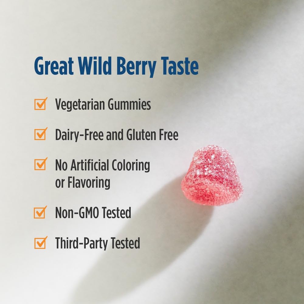 Authentic USA imported Nordic Naturals wild berry flavored wellness supplement bottle for adult daily nutritional care