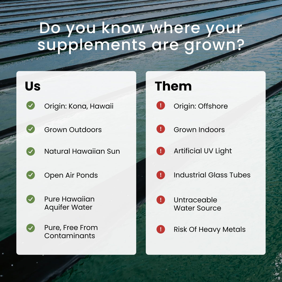 Nutrex Hawaii BioAstin Hawaiian Astaxanthin bottle side profile showing dietary certifications