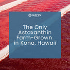Nutrex Hawaii BioAstin high potency antioxidant supplement for premium skin and immune defense