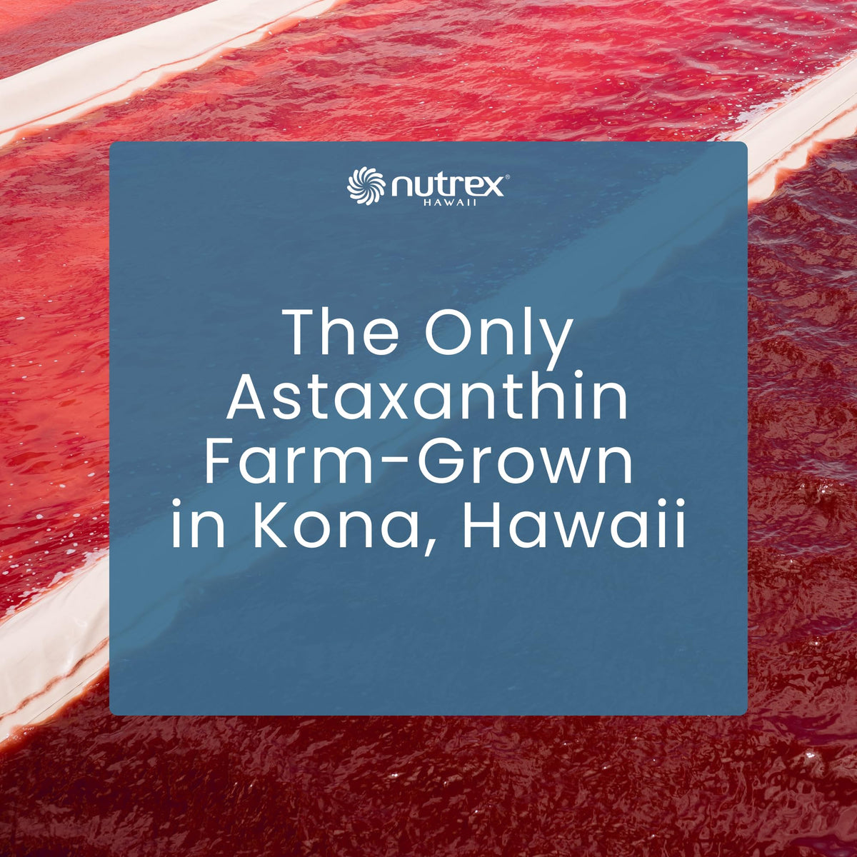 Nutrex Hawaii BioAstin high potency antioxidant supplement for premium skin and immune defense