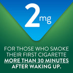 GoodSense 2 milligram nicotine polacrilex mint lozenges nutrition and drug facts label view