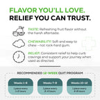 Close up view of the individual sugar free coated fruit flavor nicotine gum pieces displaying texture and shape