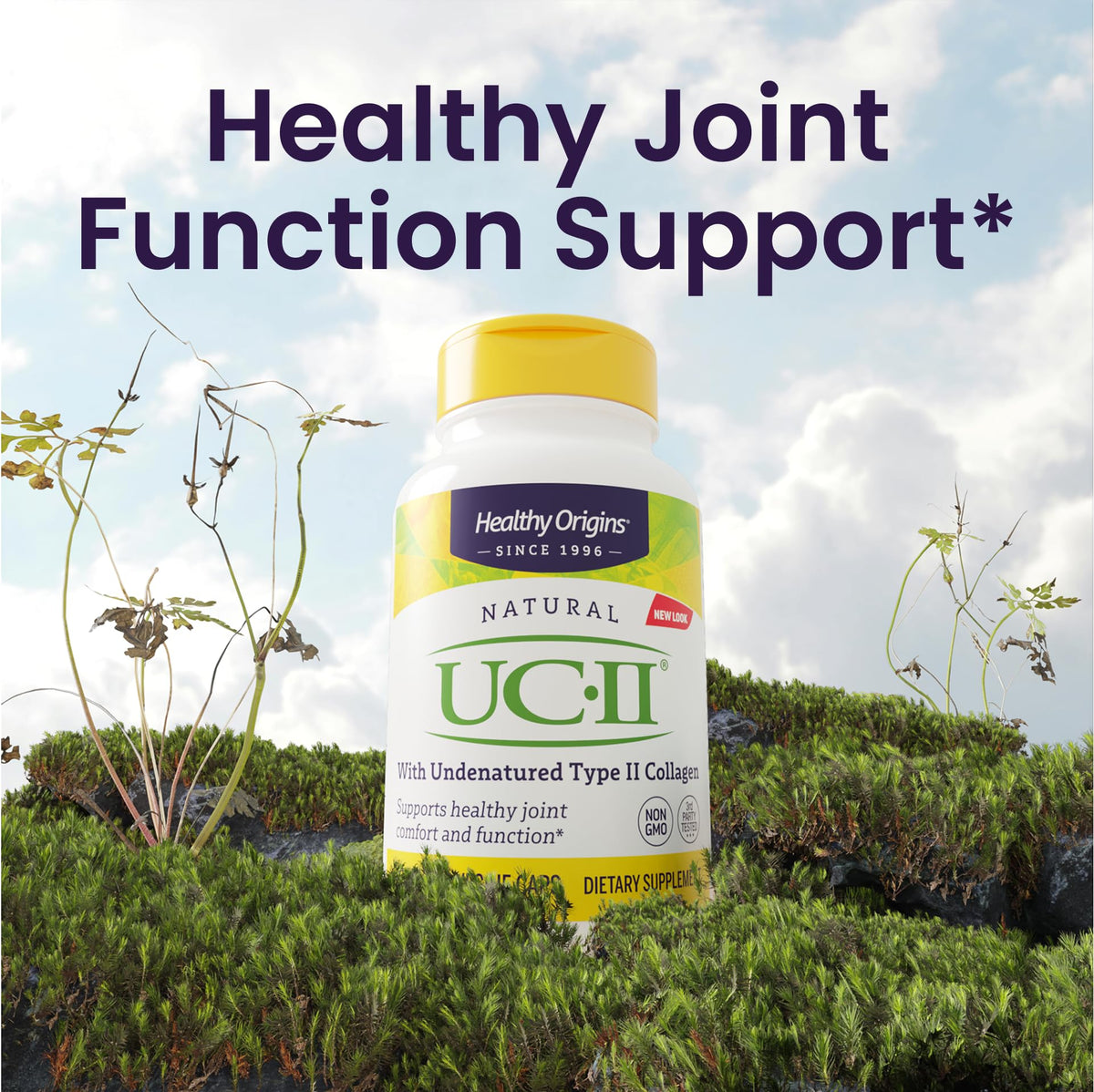 Close up of Healthy Origins UC-II collagen supplement packaging