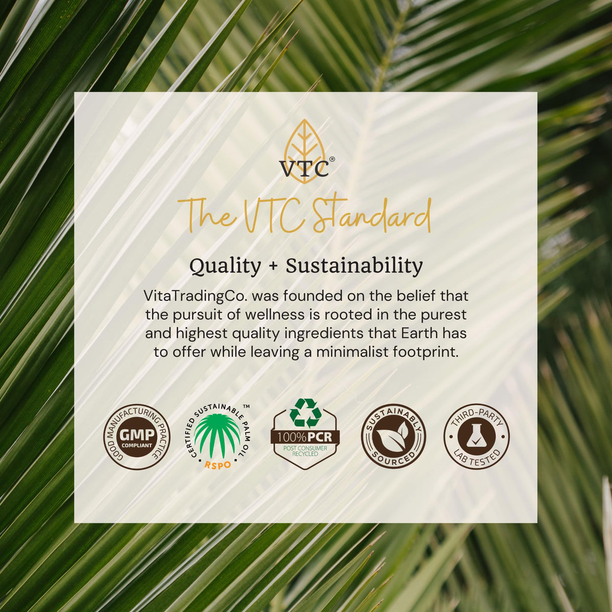 VTC MCT oil bottle lifestyle product shot