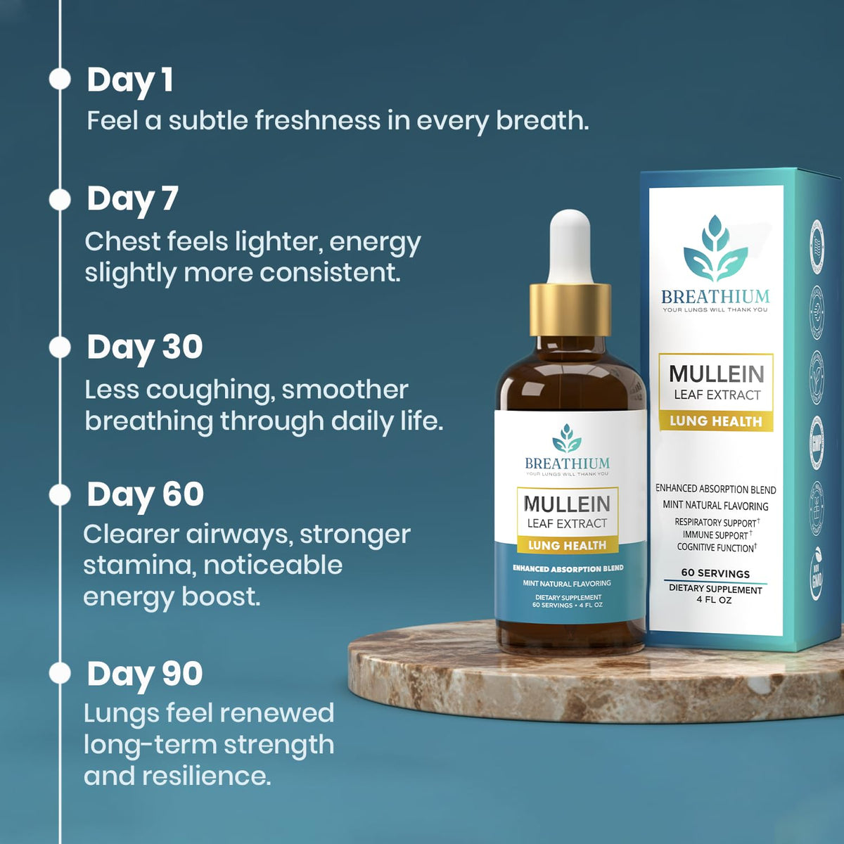 Breathium 4 in 1 liposomal mullein tincture showcasing its dual lung health and gut health properties.