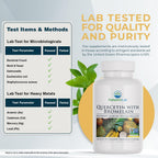 Nature's Lab Quercetin and Bromelain 120 capsules supplement facts and ingredient panel