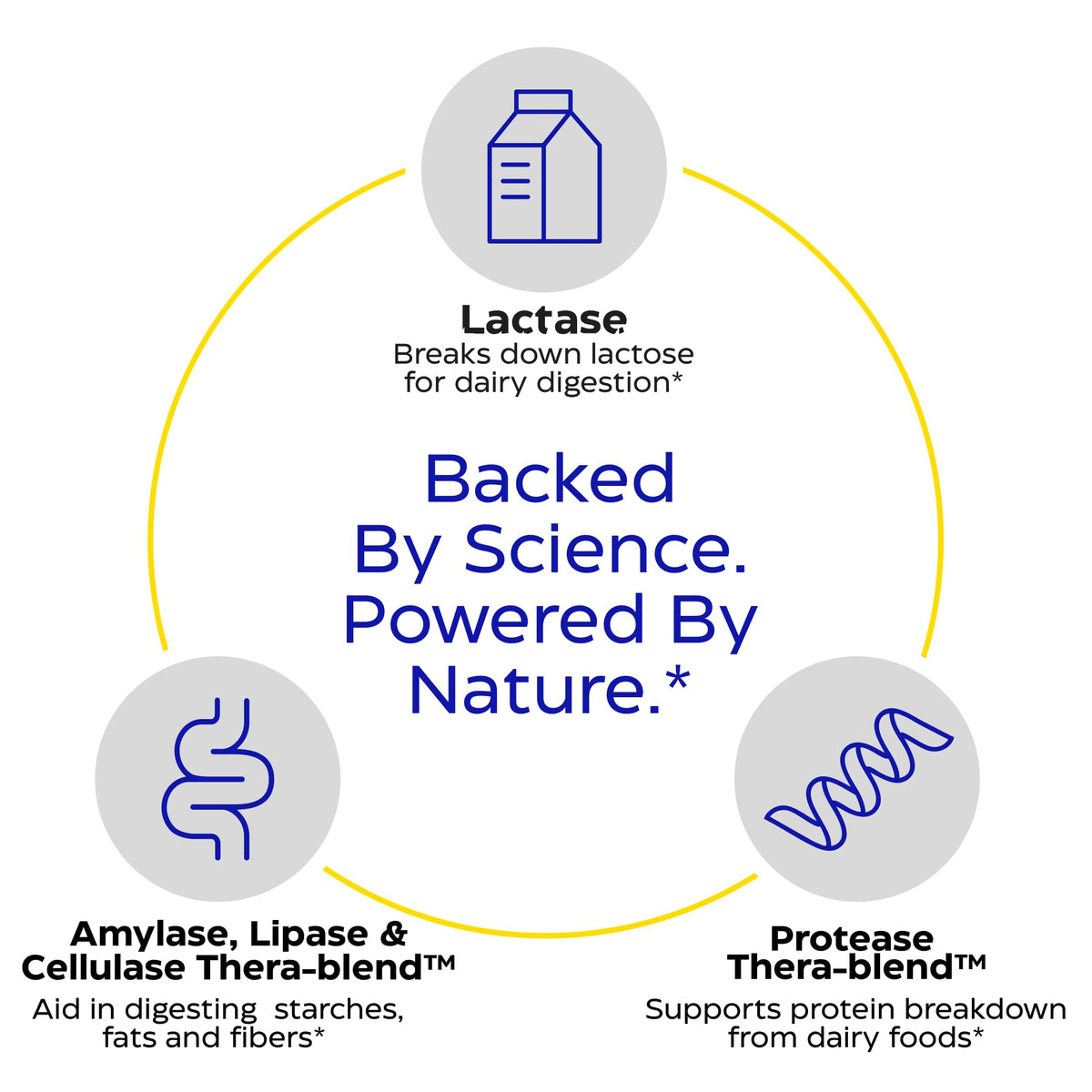 Enzymedica Lacto capsules bottle highlighting vegan and kosher certified clean formulation labels