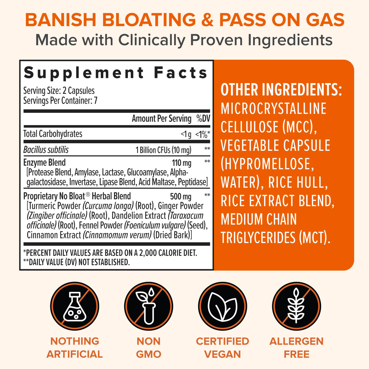 Close up of Zenwise Health No Bloat capsules detailing the organic ginger dandelion and lactase formula