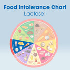 Intoleran lactase enzyme 36 count travel friendly box packaging for on the go digestive care.