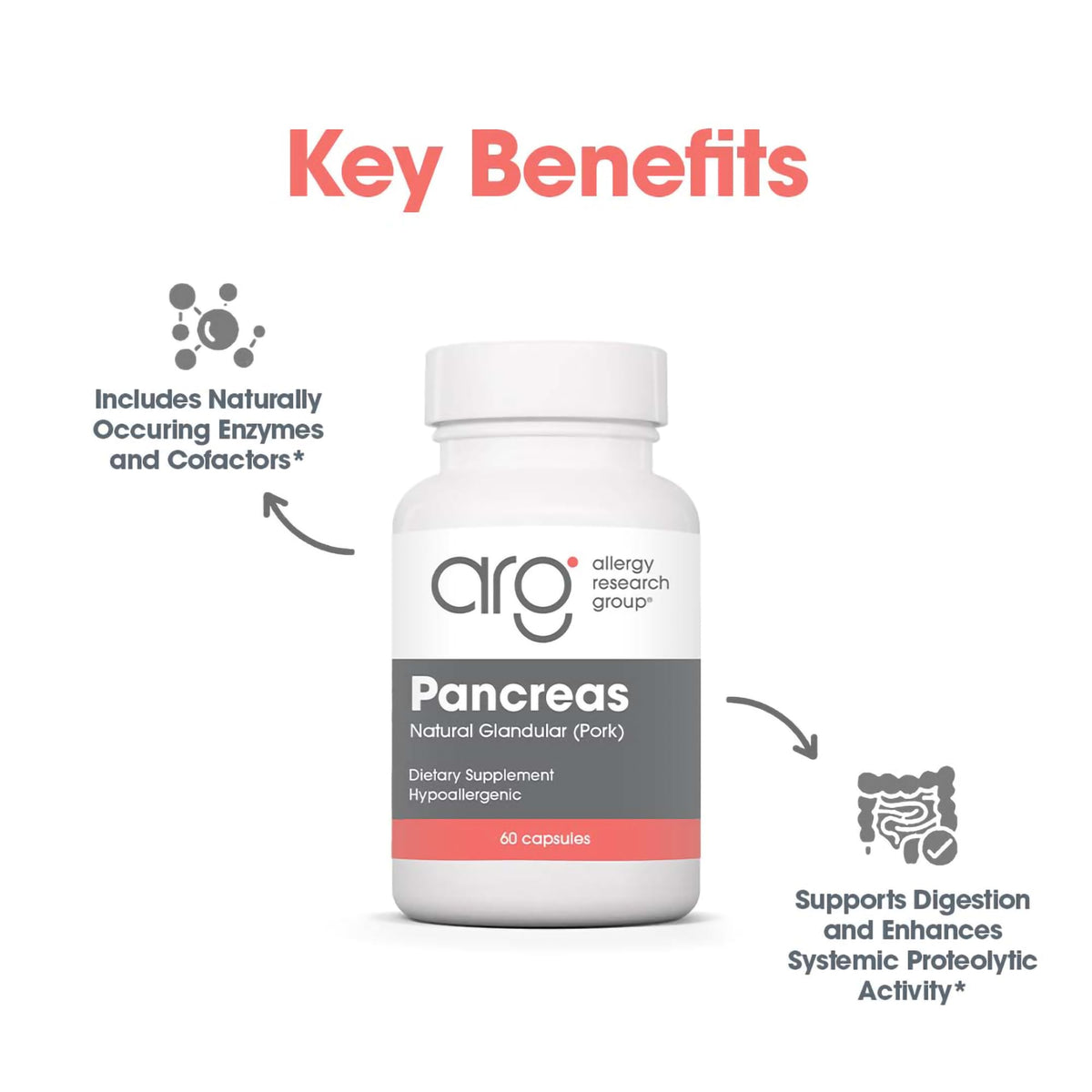 Authentic Allergy Research Group freeze dried pancreas tissue capsules supplement