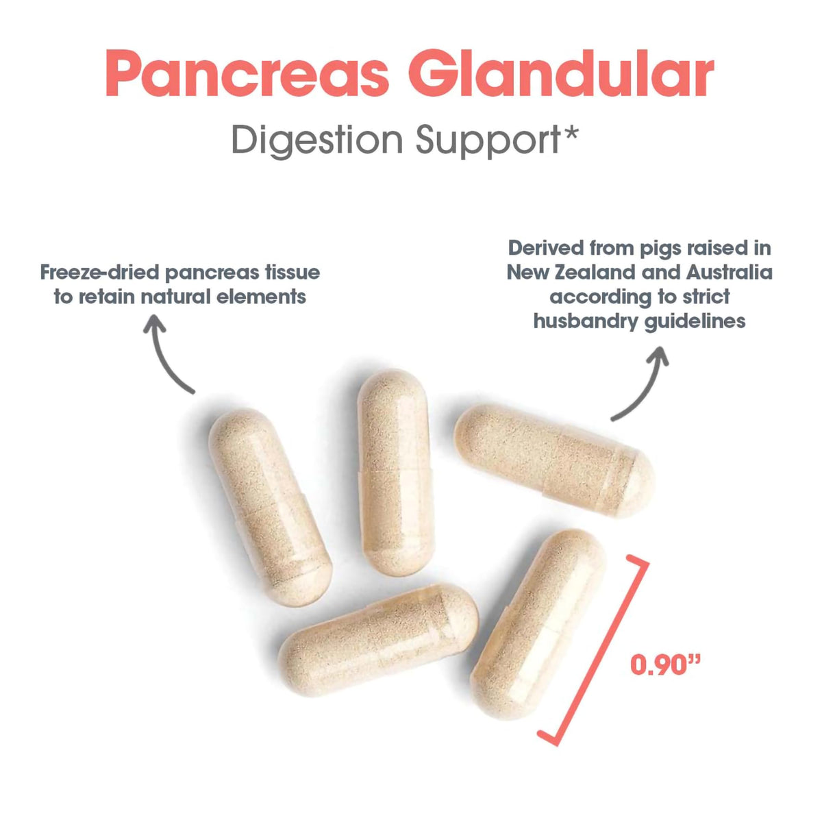 Allergy Research Group pancreas pork 60 count container showing usage directions