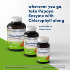American Health papaya enzyme with chlorophyll chewable supplement bottle displayed in a well lit wellness setting.