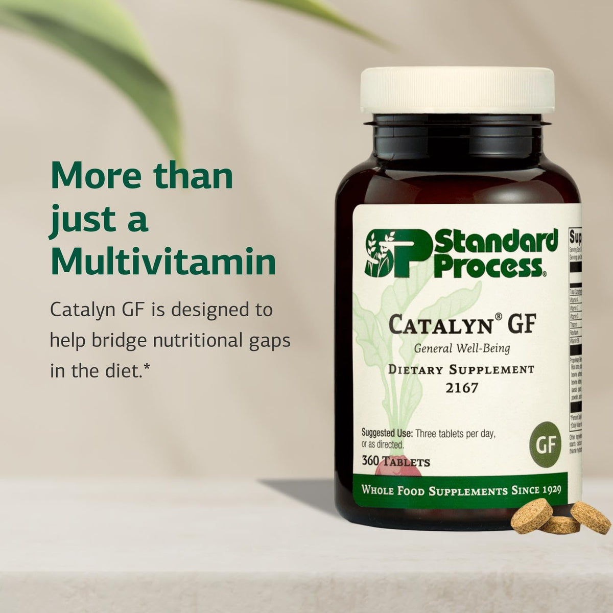 Back label of Standard Process Catalyn GF showing supplement facts