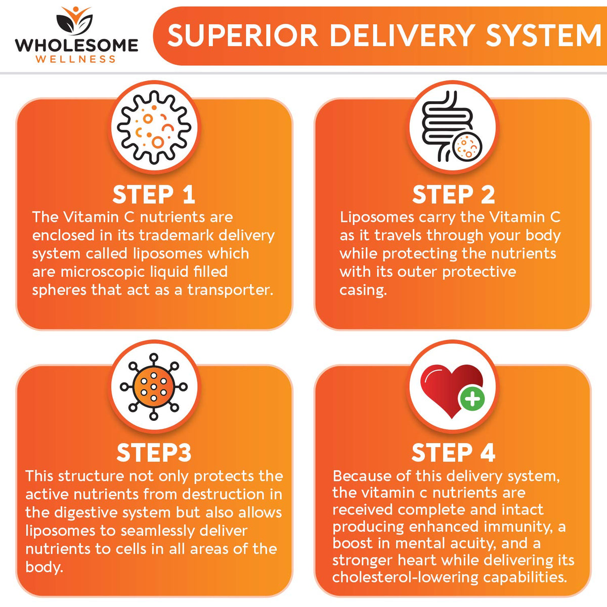 Fat soluble vitamin C liposomal formula capsule dimensions and clear vegetarian ingredients list