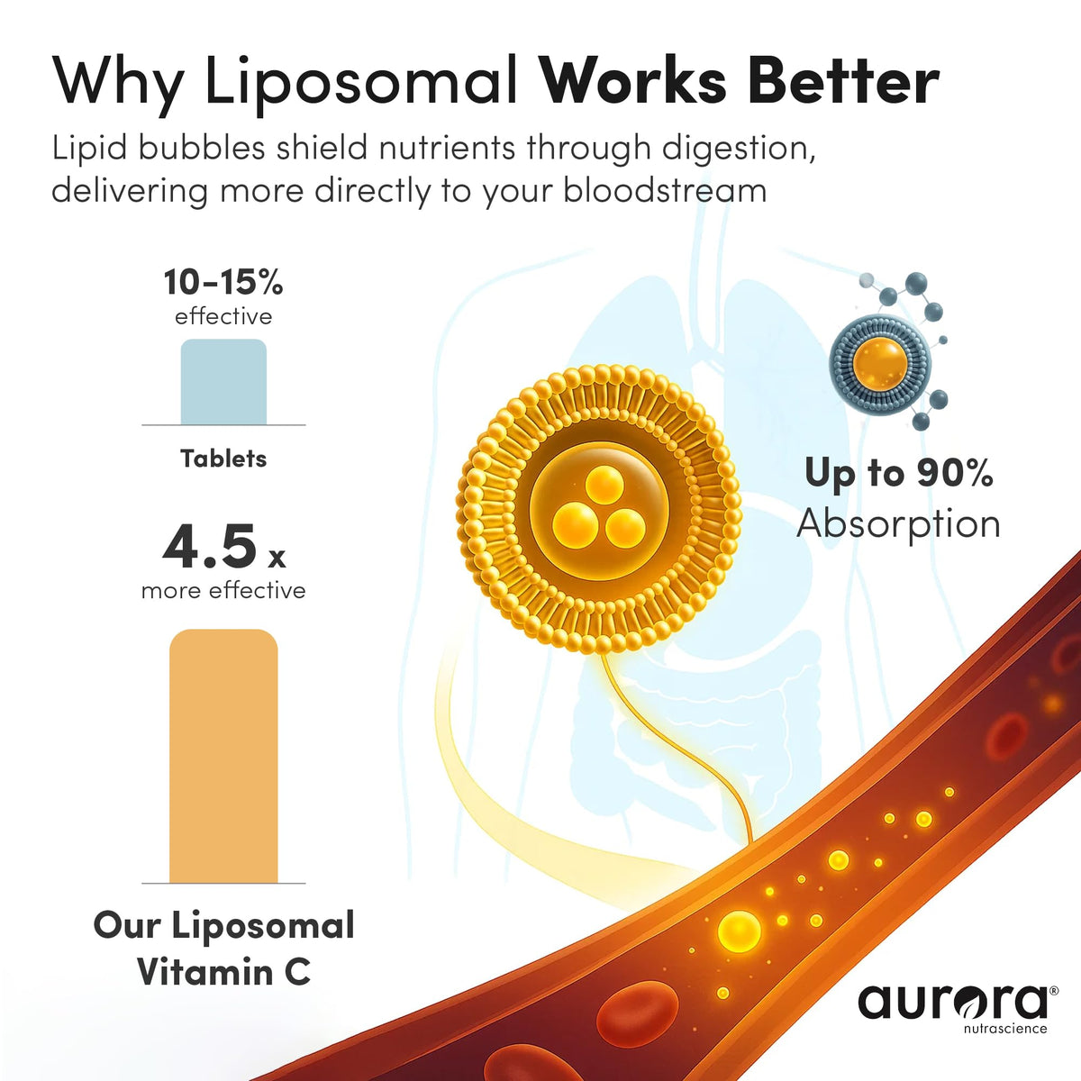 Back label of Vida Lifescience liquid vitamin C detailing non GMO soy lecithin ingredients and dosage directions.