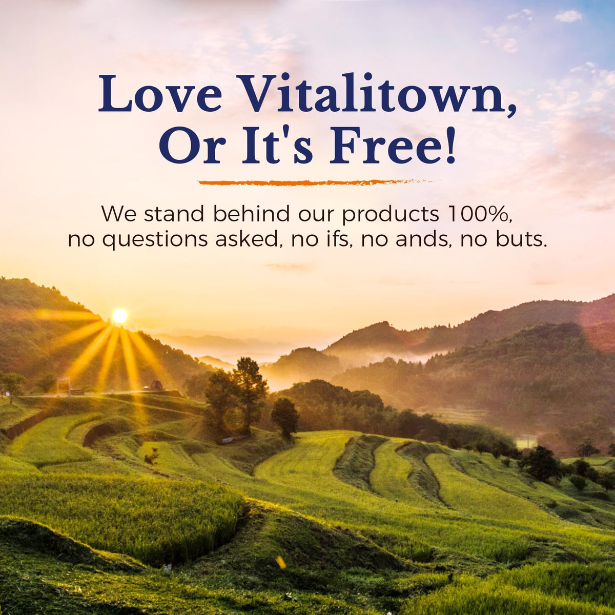 Vitalitown Vitamin ADK immune and heart health support softgels bottle display