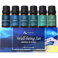 ASAKUKI Essential Oil Blends Well-Being Set front view showing six bottles in a gift box.