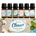 Chanhyer Clean Essential Oils Set front view of six bottle collection