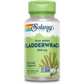 Solaray Bladderwrack 580mg capsules bottle front view