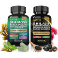 Auivty Sea Moss Shilajit Complex 120 Capsules front view bottle for natural energy