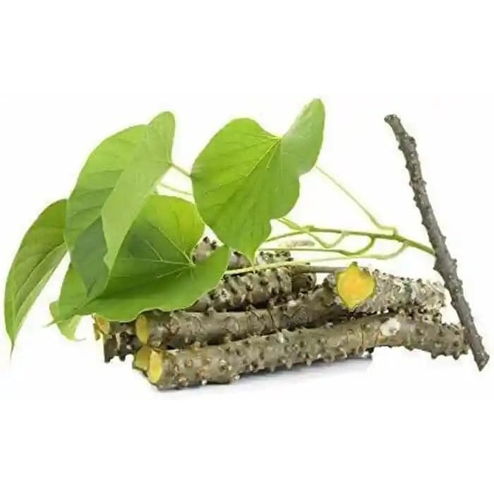 LSHERBS Namdharis Neem and Giloy Sticks front view showing fresh authentic raw herbal stems for Ayurvedic wellness.