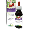 Naturalma Hawthorn Leaf and Flower Alcohol Free Tincture 4 fluid ounce bottle front view