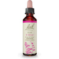 Bach Original Flower Remedies Elm 20ml dropper bottle front view for emotional balance.