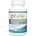 Wellness Resources Quercetin Phytosome with Luteolin bottle front view showing capsule count and key benefits.