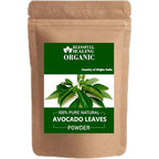 Blessfull Healing Organic Avocado Leaves Powder front view for herbal wellness.