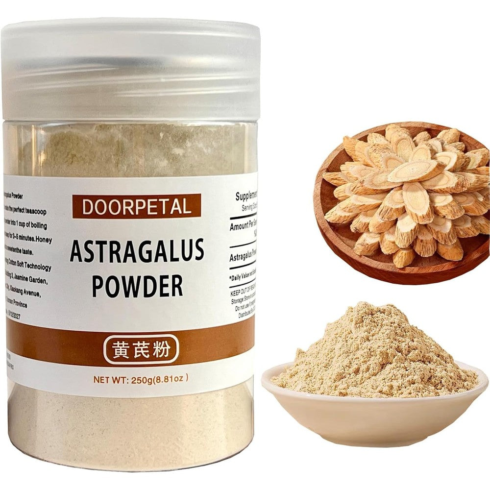 Doorpetal Astragalus Membranaceus powder jar front view herbal supplement in India